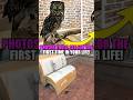 photos you'll see for the first time in your life!