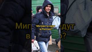 Почему мигранты едут в Россию? #shorts