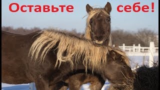 Об удовольствии смотрящих кино и сколько это стоит. Об удовольствии смотрящих кино и сколько это стоит.