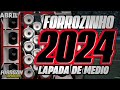 Forrozinho 2024lapada de mdio paredo forrozinho 2024 atualizado nordeste viral paredo