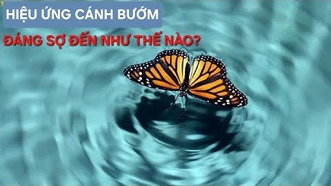 Hiệu ứng bươm bướm là gì năm 2024