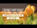 Wszystko zaczyna się od głowy || Cztery pory roku ze św. Hildegardą #18