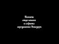 Памяти о.Илиодора🌼