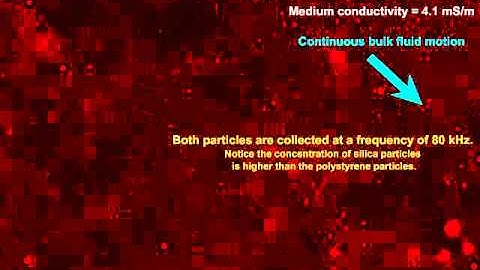 REP: Sorting between 1.0 micrometer particles