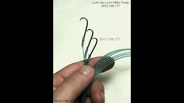 Lưỡi câu Lươn chuyên nghiệp. Hàng thủ công, thép lò xo AK. 0912198177