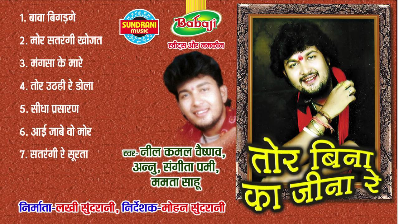 Tor Bina Ka Jeena Re   Chhattisgarhi Superhit Album   Jukebox   Singer Nilkamal Vaishnav Mamta Sahu