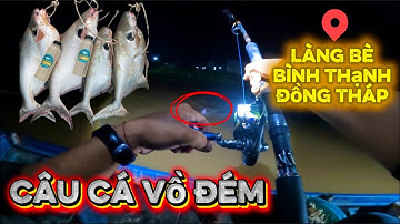 Câu cá vồ đém - Tại Làng Bè Bình Thạnh Cùng TRAN TAM FISHING #cauca #fishing #caucasong #ĐenĐồCâu