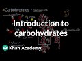 Introduction to carbohydrates | Biology foundations | High school biology | Khan Academy