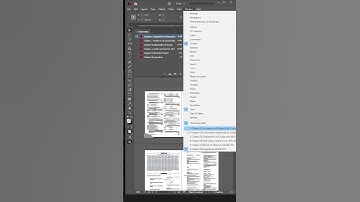 How to organise multiple chapters or ducuments in indesign using book option