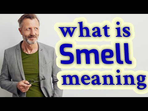 Smell | Meaning of smell