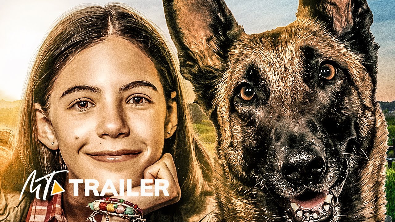 DAKOTA (2022) Official Trailer — Dog Movie (HD) YouTube