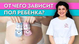 картинка: От чего зависит пол будущего ребенка? / Как начать планирование беременности?