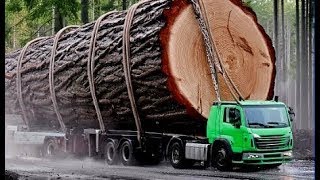 Extreme Dangerous Crazy Drivers Transport Operations Oversize Logging Trucks Fails Skills Equipment