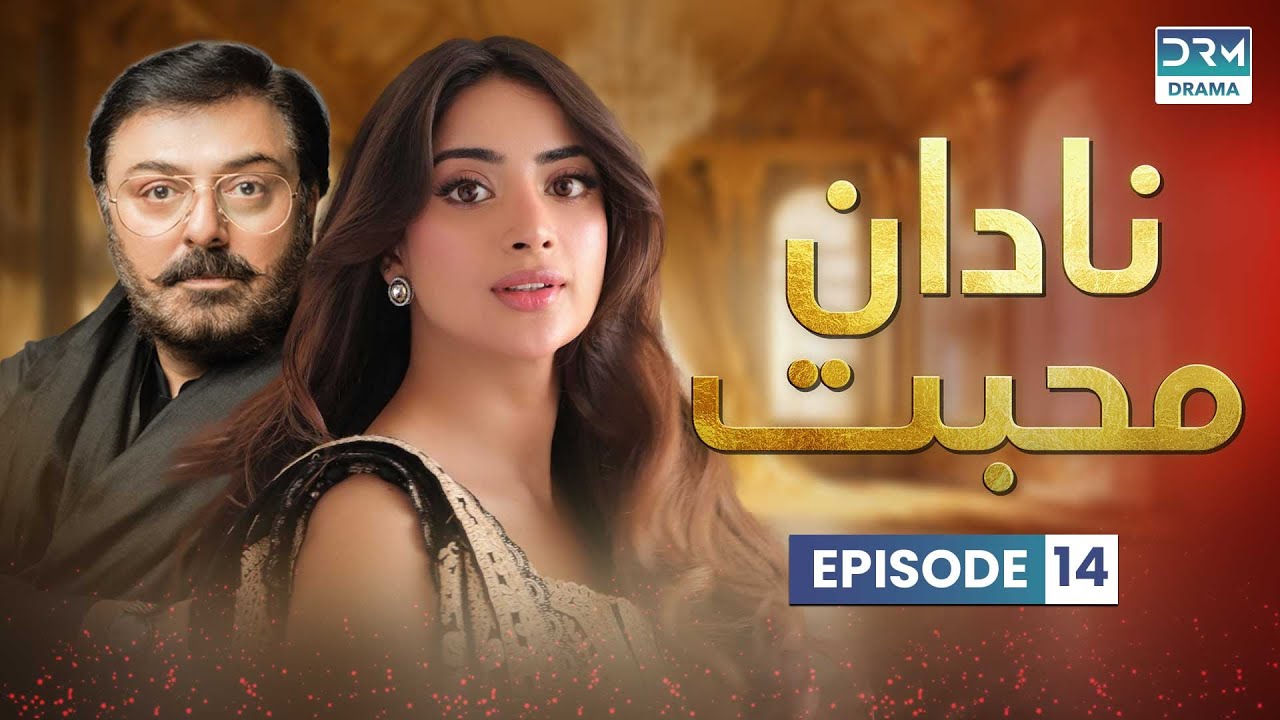 Pakistani Drama | Nadaan Muhabbat- Episode 14 | Aplus | Noman Ijaz, Saboor Ali,Salman Shahid | C7A1O