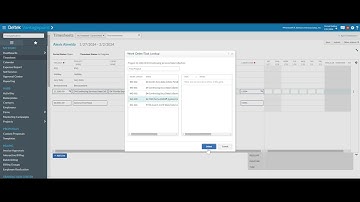 Deltek Vantagepoint - Timesheets (English Version)