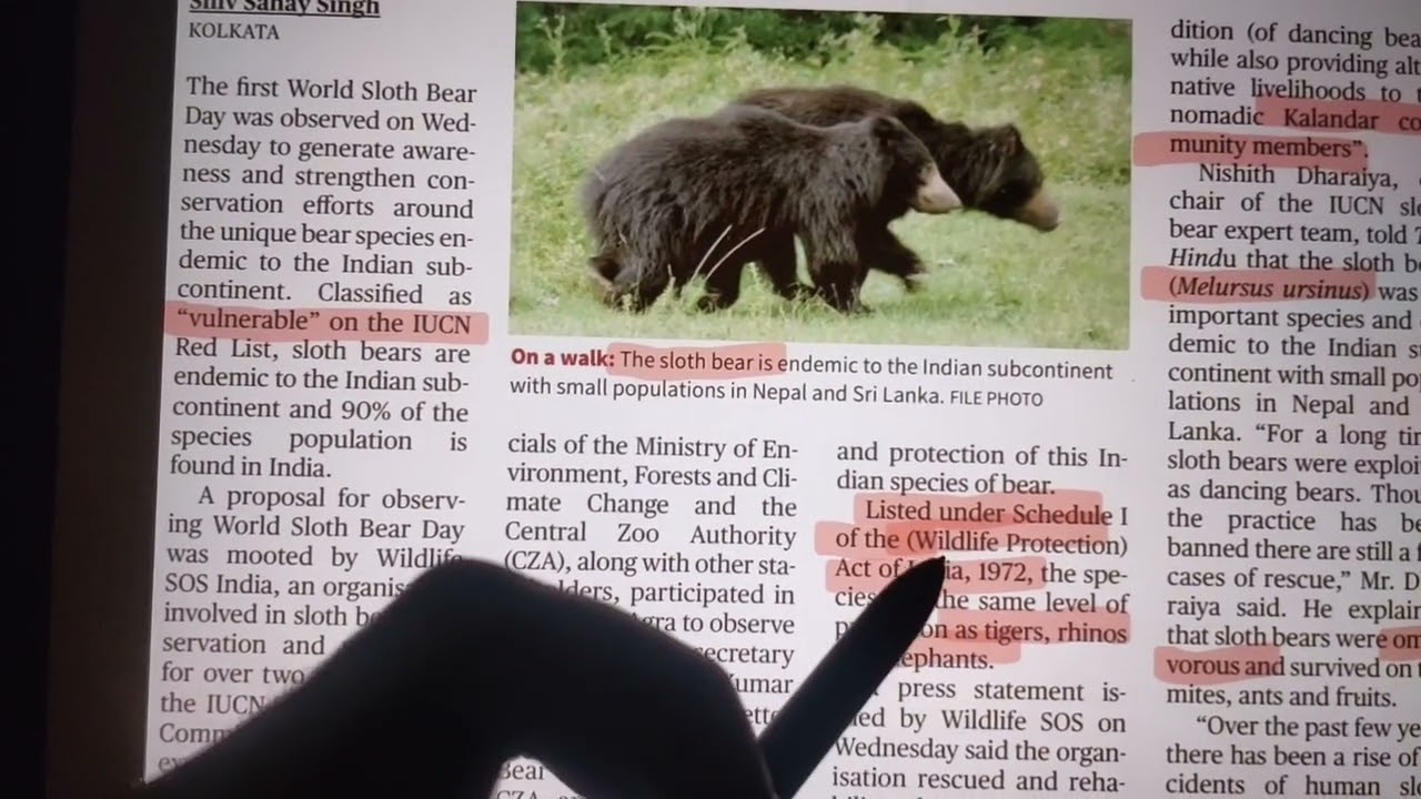 WORLD SLOTH BEAR DAY (ENVIRONMENT AND WILDLIFE VIDEO-1)