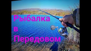 Рыбалка в Крыму.  Дикарь в Передовом.