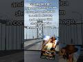 The Rockstar's Curvy Cowgirl by Kat Vroman 🔥 #paranormalromance #shifterromance #romancebooks