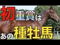 【素質高い】産駒わずか10頭！あのマイナー新種牡馬が重賞勝ち一番乗り。