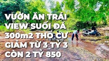 Cần Bán Gấp ! Vườn Trái Cây ,Gỗ Quý , View Suối Đá Tuyệt Đẹp Ở Bà Rịa Vũng Tàu