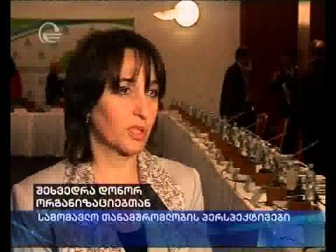 შეხვედრა დონორ ორგანიზაციებთან