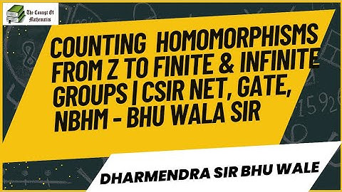 Counting the Number of Group Homomorphisms from Z to Any Infinite or Finite group  by BHU Wala Sir.