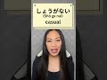 Formell Vs Informell Shikata Nai Und Shoganai Im Alltag Einfachesjapanisch Nihongo Japanisch