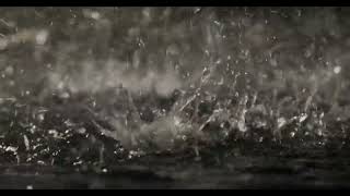 Eternal Rainfall Bliss: Ambient Sounds for Tranquil Moments