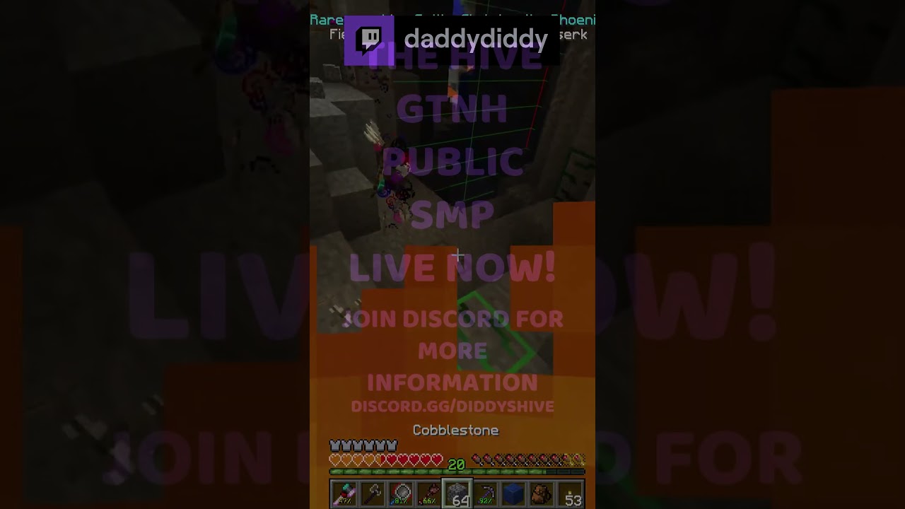 MINECRAFT PUBLIC SERVER LAUNCH 