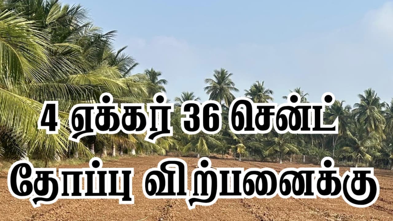4 ஏக்கர் 36 சென்ட் தோப்பு விற்பனைக்கு