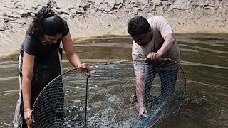 ഉത്സവവും വരാലും 🐟 | Traditional Fishing.