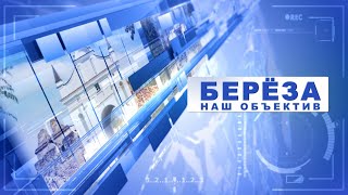 Берёза. Наш объектив 29-12-19