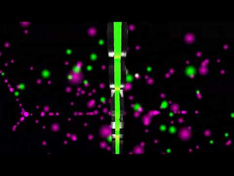 ახალი ლოგო ბანერი