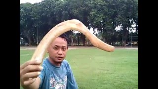 BEBEK Natural Elbow Boomerang Flight