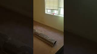 walkthrough 2000 university unit 101