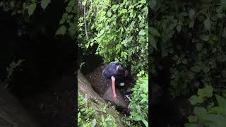 Car accident, fell into a ditch, seriously injured and in urgent need of rescue.#kindness  #inspirat