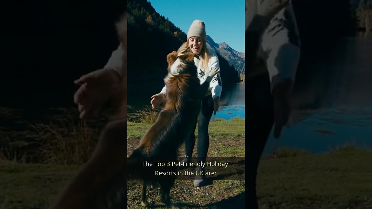 Discovering the Top 3 Pet Friendly Holiday Resorts in the UK