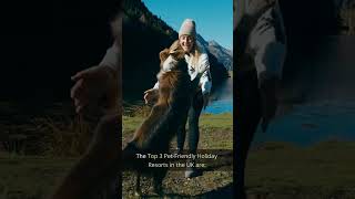 Discovering the Top 3 Pet Friendly Holiday Resorts in the UK