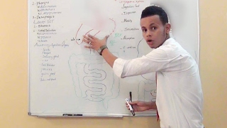 Digestive System 2- oral cavity. Dr faris Digestive System 2 Oral Cavity