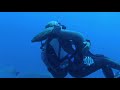 On A Long Breath - Trailer