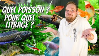 Quel POISSON choisir et pour quel LITRAGE ? Enfin une RÉPONSE ! [ ANI' MOOD ]