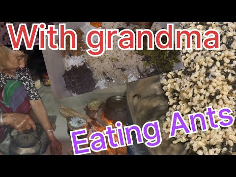 ||Eat ants with grandma||precious moment|| - YouTube