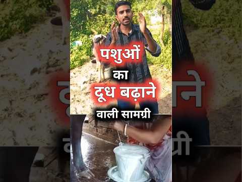 ग य भ स क द ध बढ न क तर क Dairyfarm Dairyfarming Milkincrease 