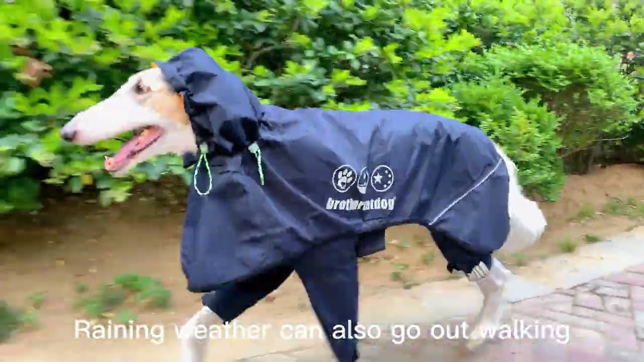 Horse & Dog Suppliers Factory-Dog raincoat，Available in a variety of colors.