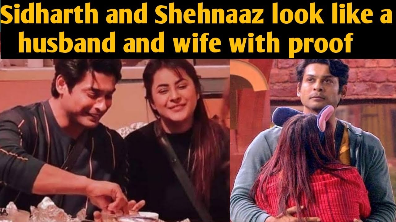 सिद्धार्थ और शहनाज़ look like a Hubby and wife । खुद ही देख लिजिए