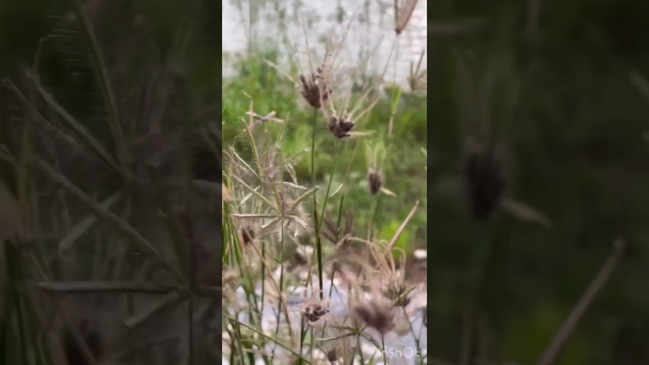 Great space for exercise and a quiet environment in Sarjapur 😍 