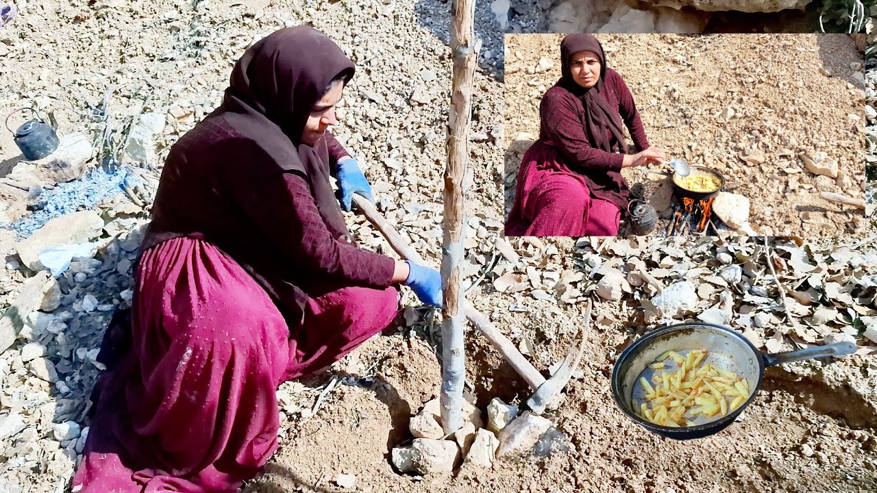 Госпожа Махтаб осталась одна в горах; она построила себе убежище из веток и готовит себе еду сама.