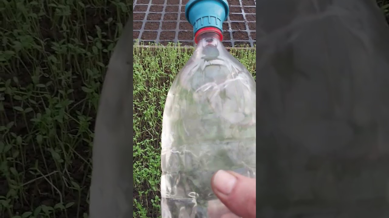 11 березня 2026 р.