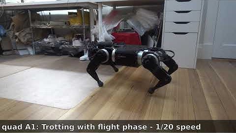 quad A1 trotting with a flight phase