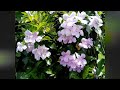 映画音楽６０分＿BGM